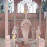 Vraj-Yatra-2014- (1122)